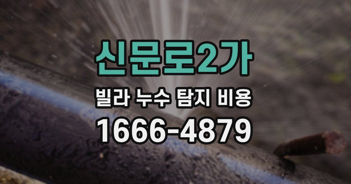 신문로2가 빌라 누수 탐지 비용