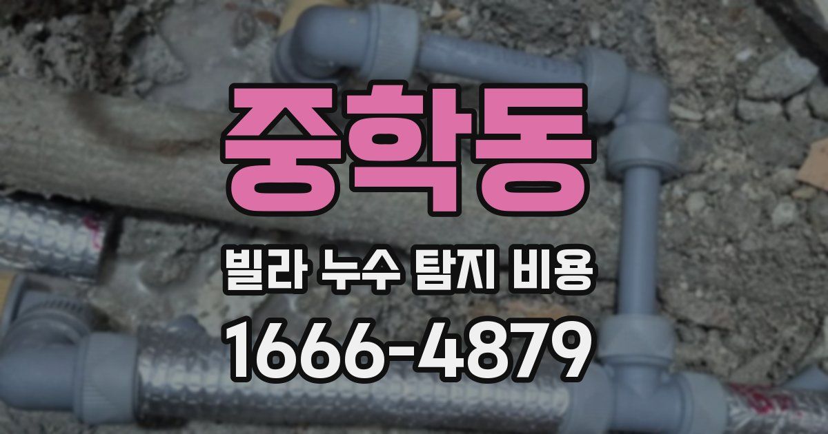 중학동 빌라 누수 탐지 비용