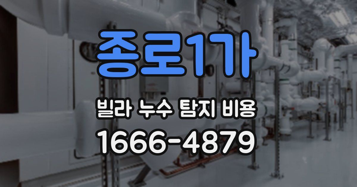 종로1가 빌라 누수 탐지 비용