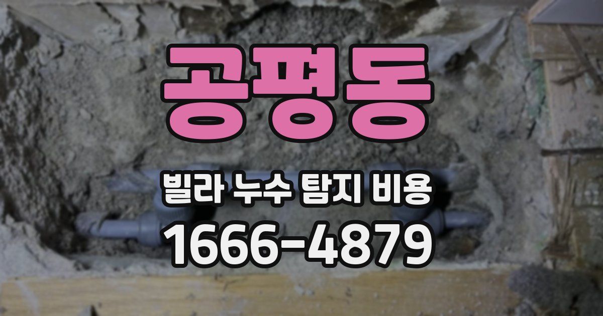 공평동 빌라 누수 탐지 비용