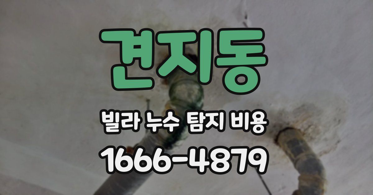 견지동 빌라 누수 탐지 비용
