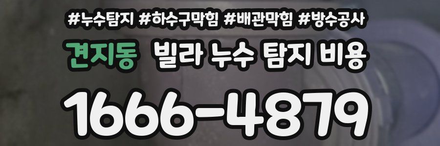 견지동 빌라 누수 탐지 비용