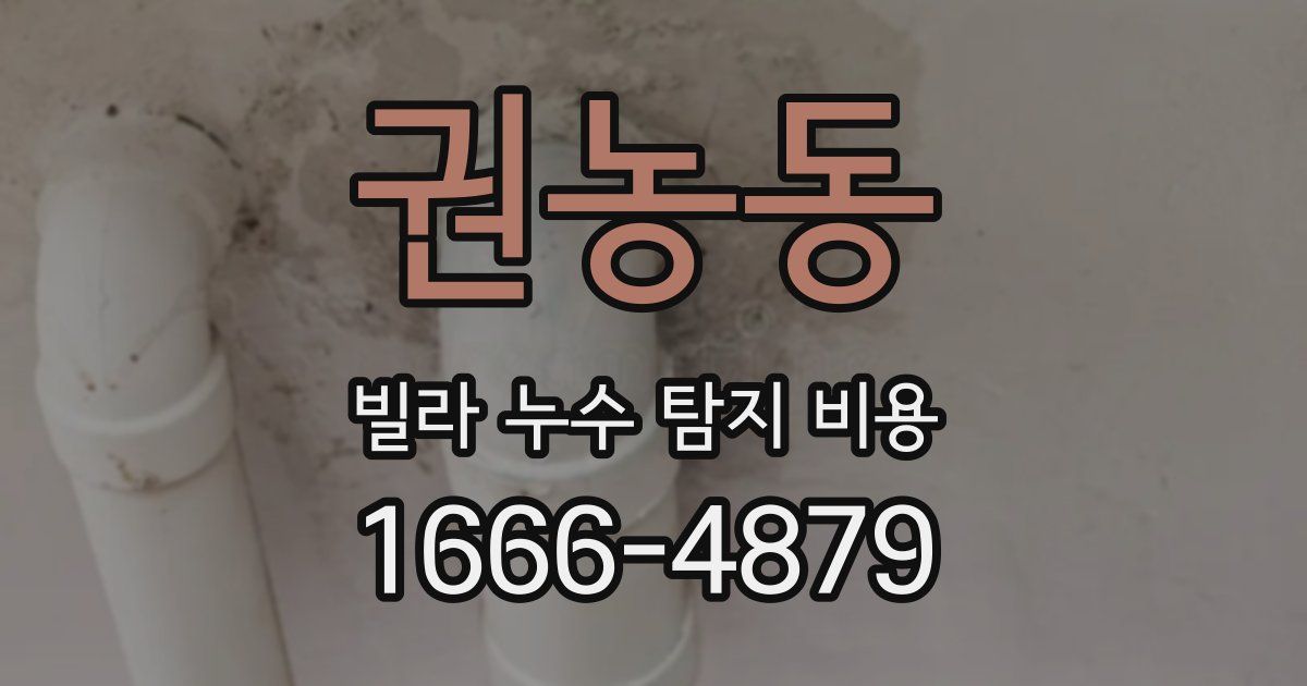권농동 빌라 누수 탐지 비용