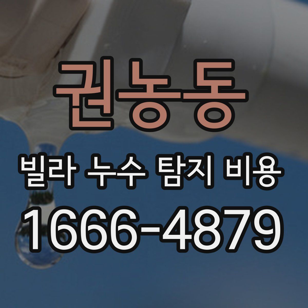 권농동 빌라 누수 탐지 비용