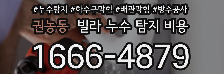 권농동 빌라 누수 탐지 비용