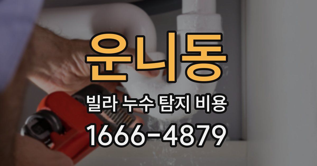 운니동 빌라 누수 탐지 비용