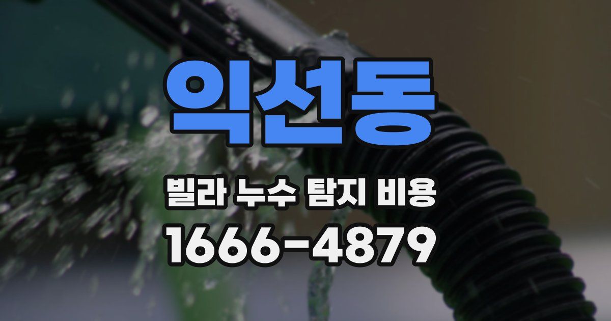 익선동 빌라 누수 탐지 비용