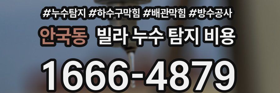 안국동 빌라 누수 탐지 비용