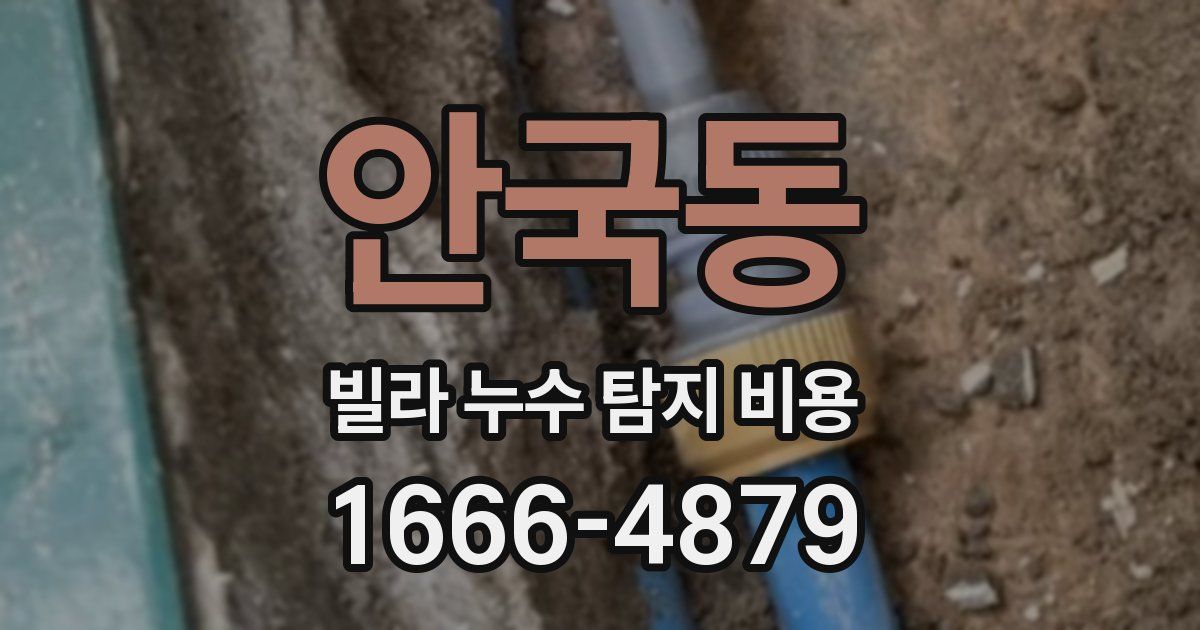 안국동 빌라 누수 탐지 비용