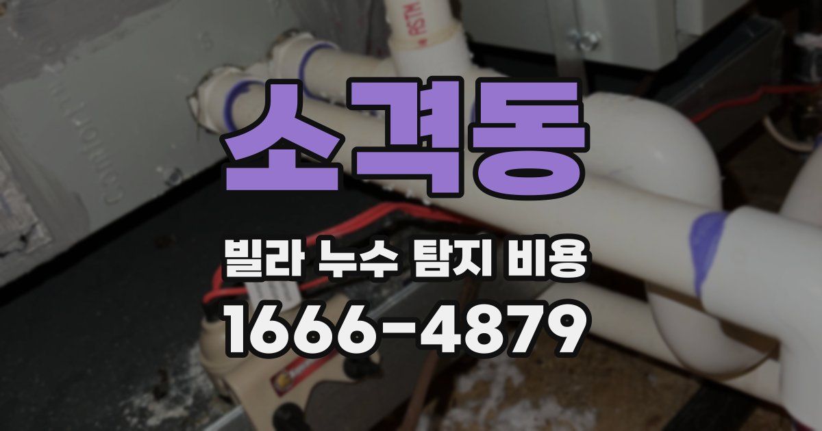 소격동 빌라 누수 탐지 비용