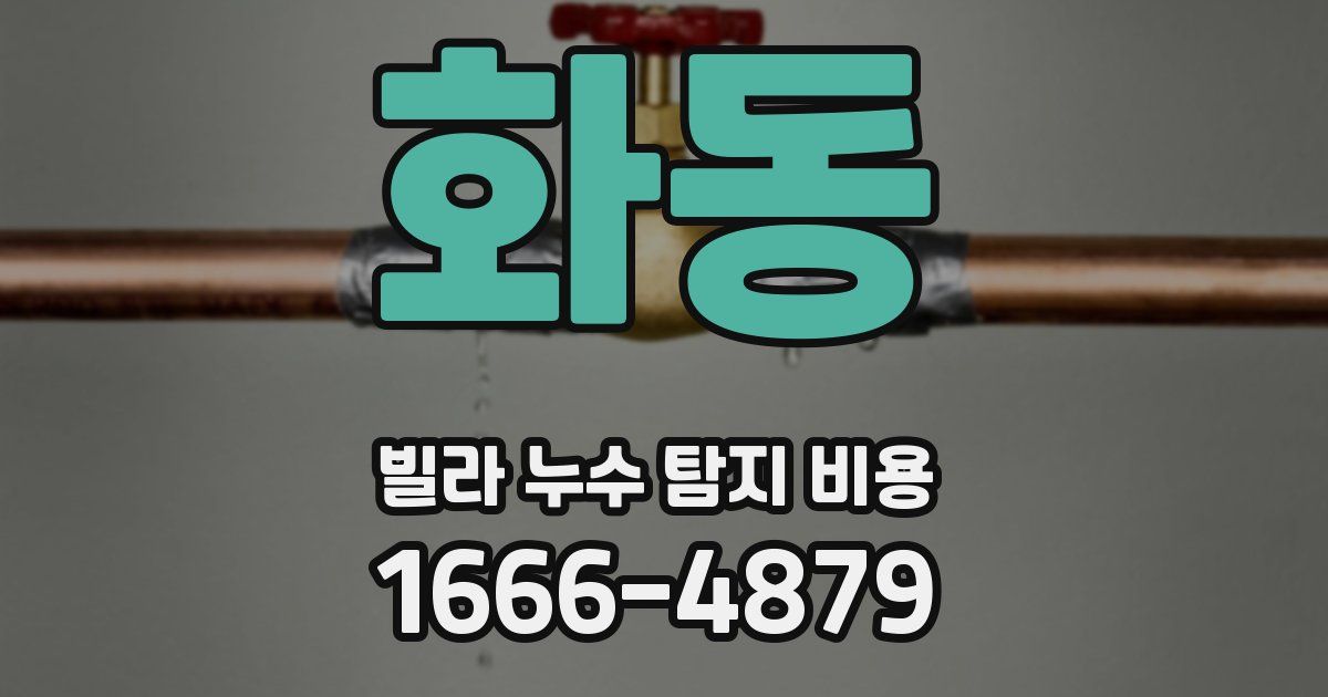 화동 빌라 누수 탐지 비용