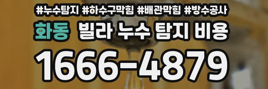 화동 빌라 누수 탐지 비용