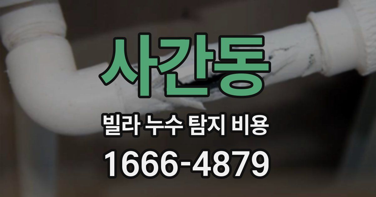 사간동 빌라 누수 탐지 비용