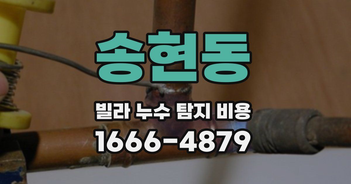 송현동 빌라 누수 탐지 비용