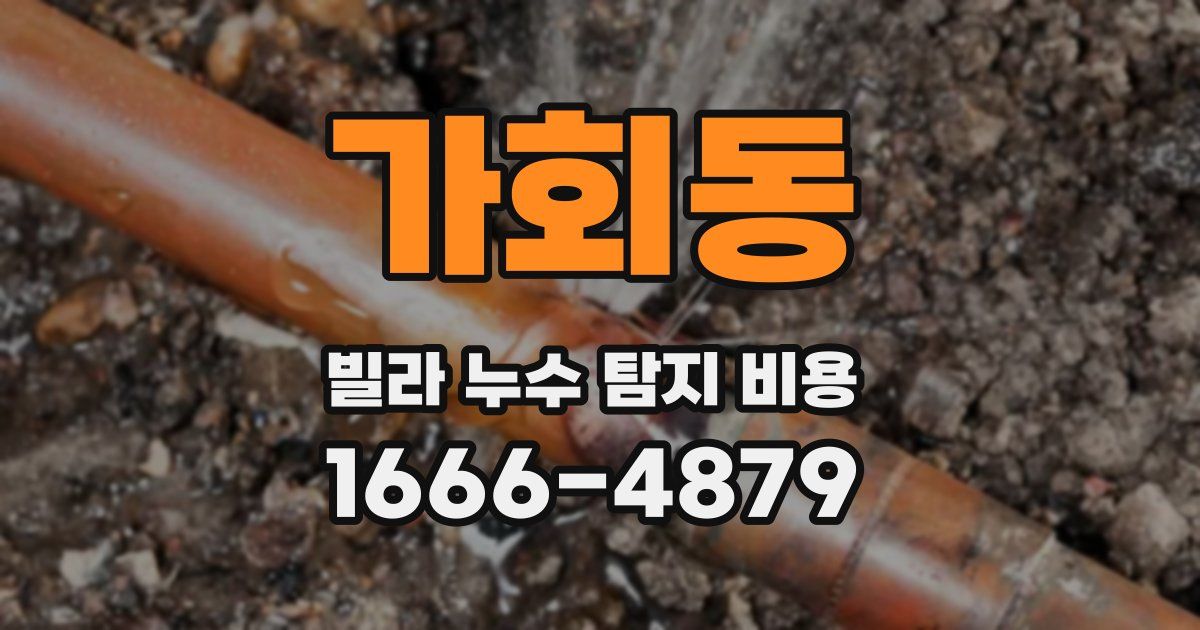 가회동 빌라 누수 탐지 비용