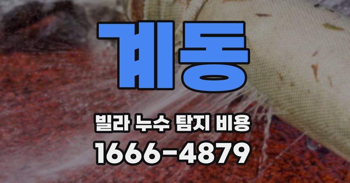 계동 빌라 누수 탐지 비용