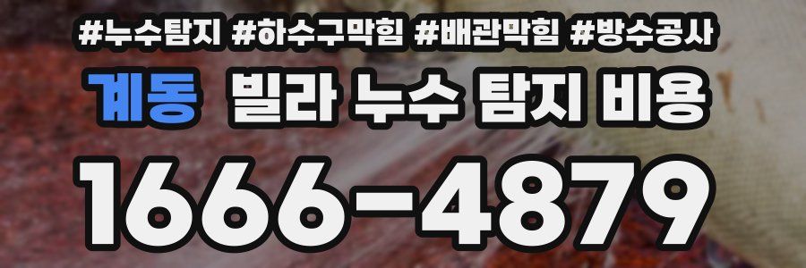 계동 빌라 누수 탐지 비용