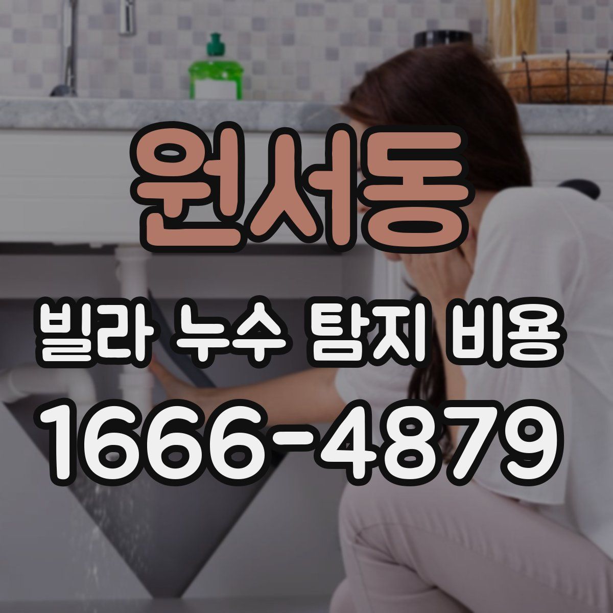 원서동 빌라 누수 탐지 비용