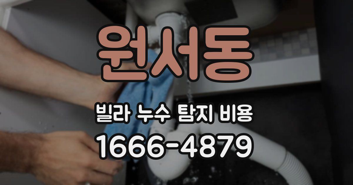 원서동 빌라 누수 탐지 비용