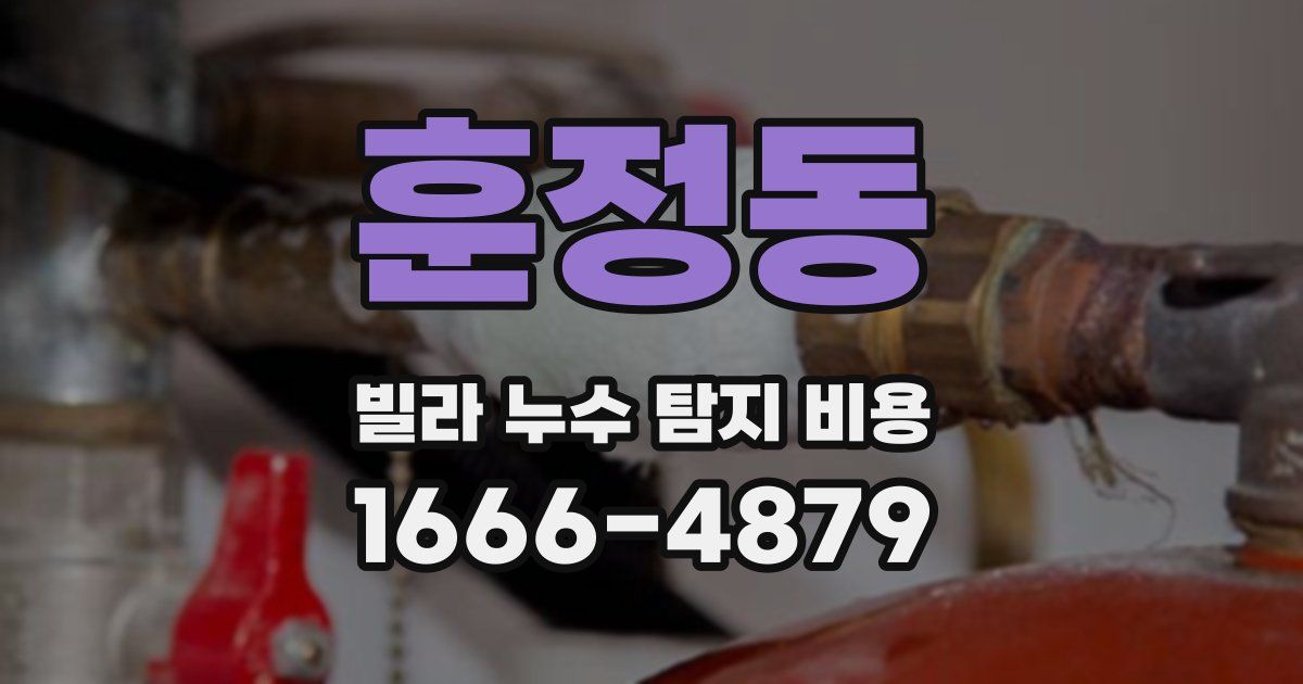 훈정동 빌라 누수 탐지 비용