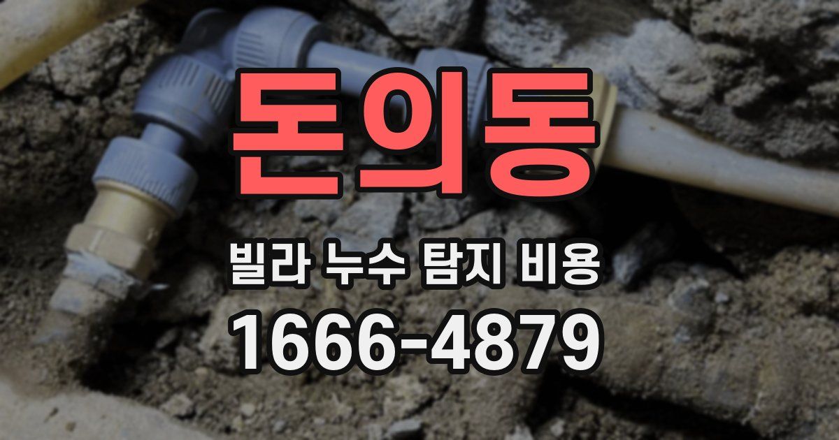 돈의동 빌라 누수 탐지 비용
