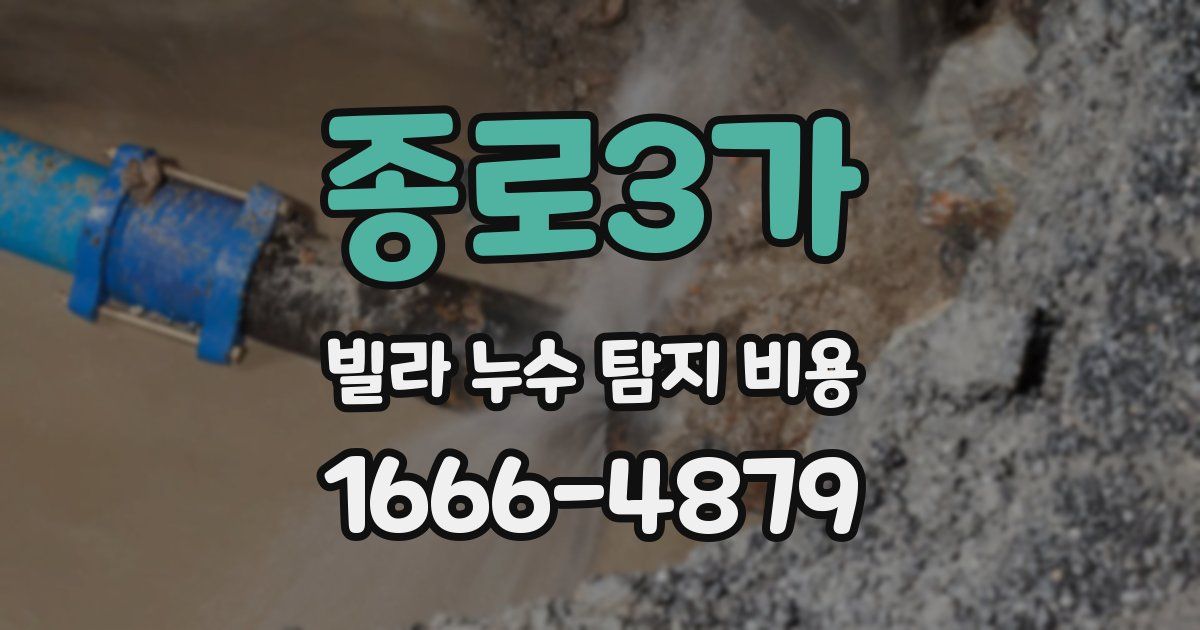 종로3가 빌라 누수 탐지 비용