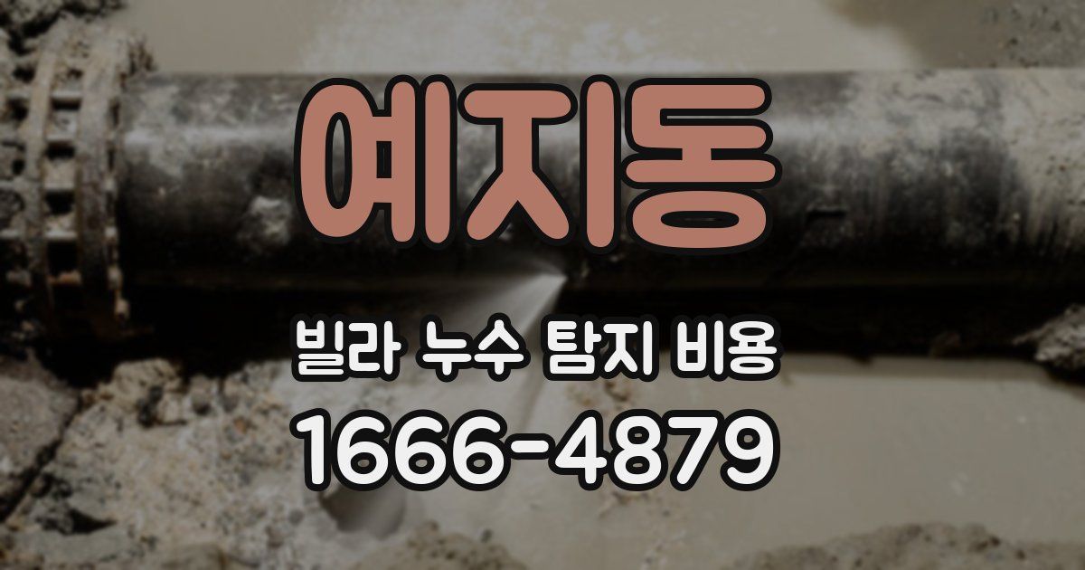 예지동 빌라 누수 탐지 비용