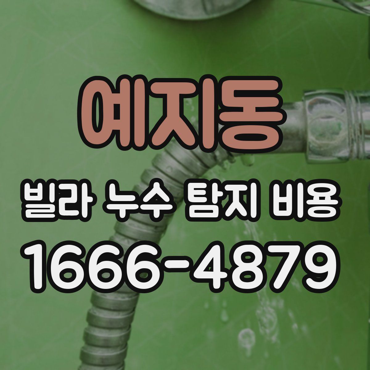 예지동 빌라 누수 탐지 비용