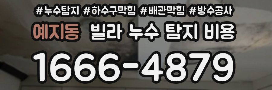 예지동 빌라 누수 탐지 비용