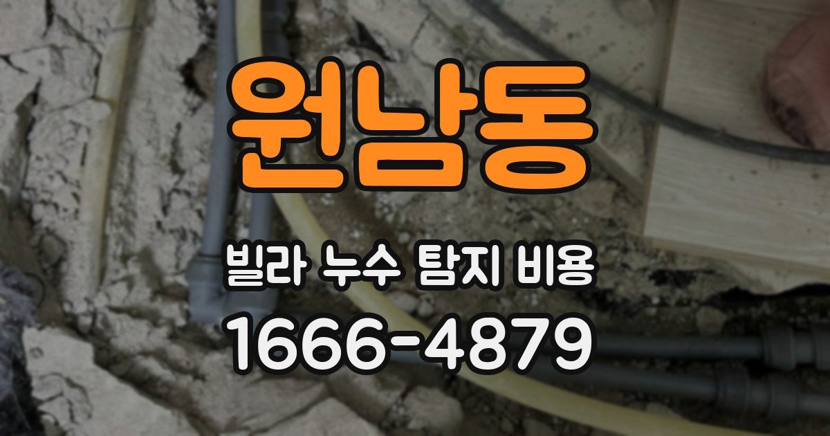 원남동 빌라 누수 탐지 비용