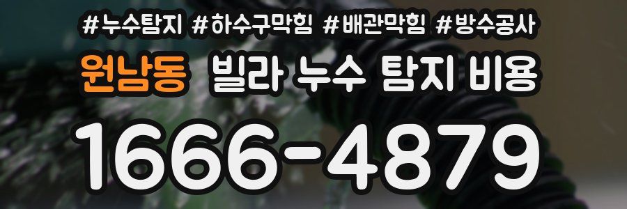 원남동 빌라 누수 탐지 비용