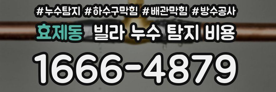 효제동 빌라 누수 탐지 비용