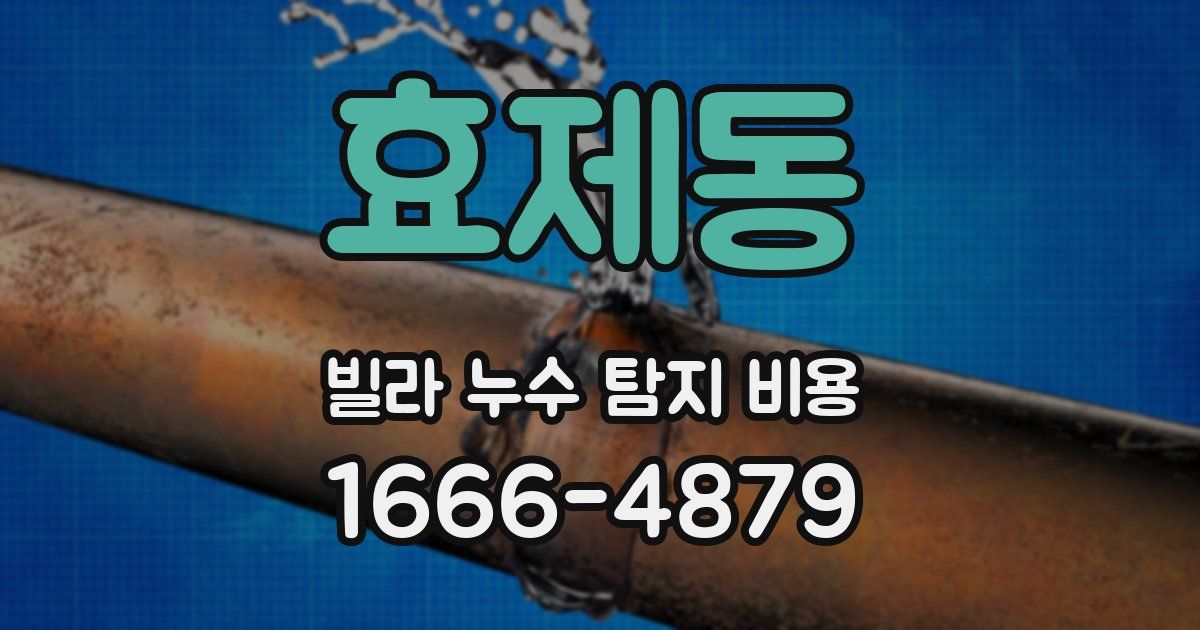 효제동 빌라 누수 탐지 비용