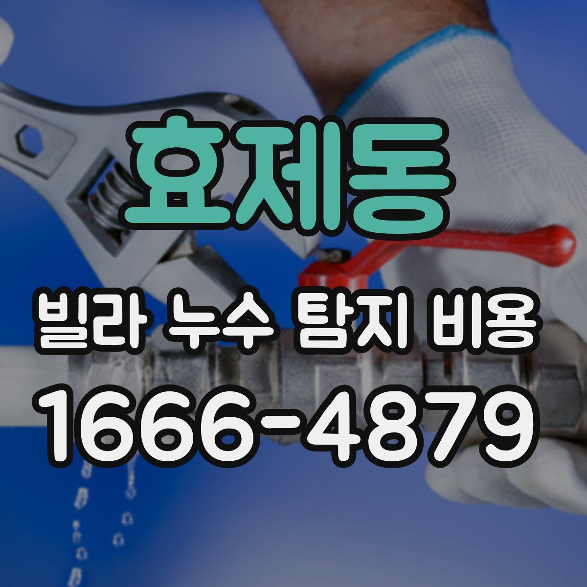 효제동 빌라 누수 탐지 비용