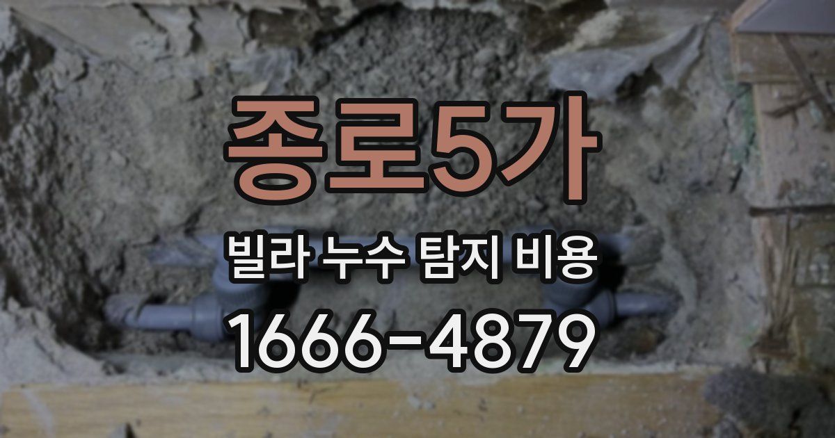 종로5가 빌라 누수 탐지 비용