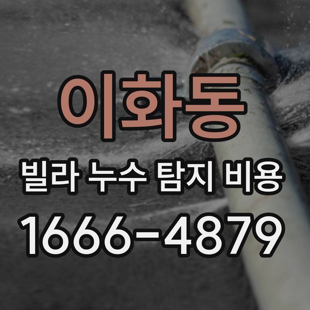 이화동 빌라 누수 탐지 비용