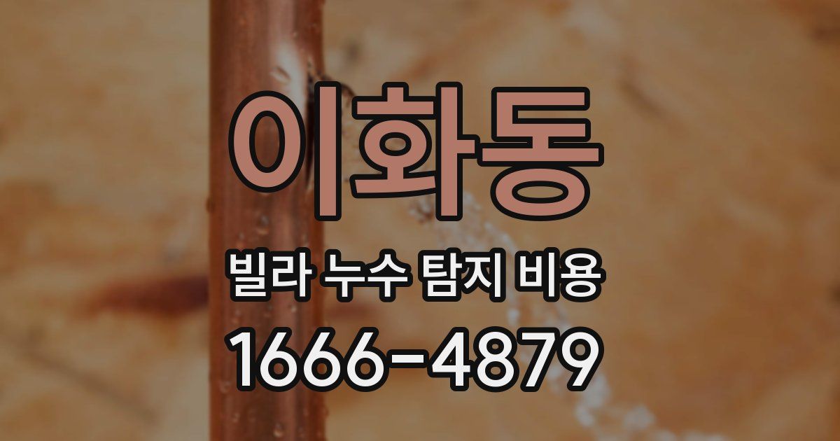 이화동 빌라 누수 탐지 비용