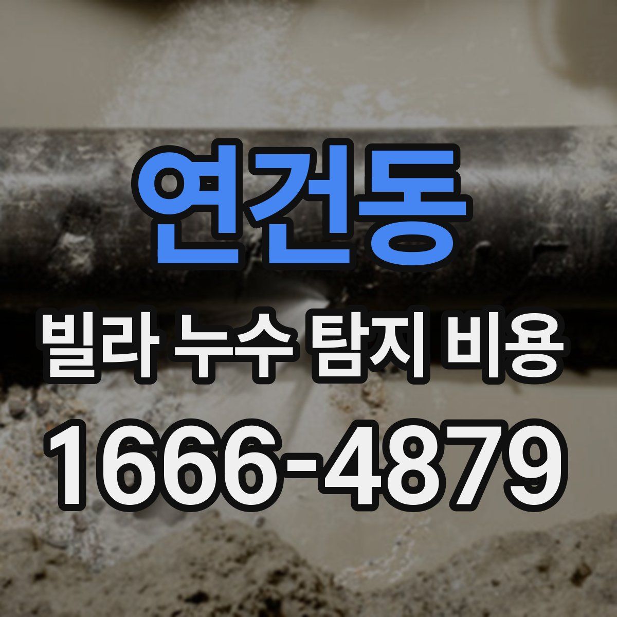연건동 빌라 누수 탐지 비용
