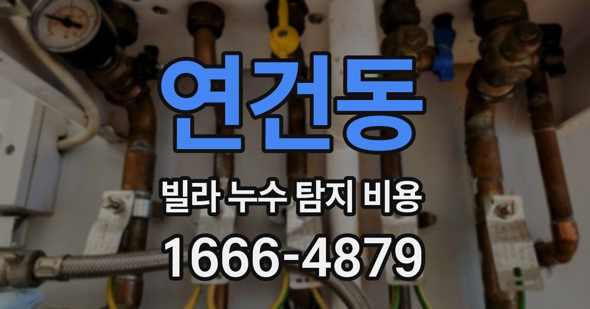연건동 빌라 누수 탐지 비용