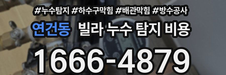 연건동 빌라 누수 탐지 비용