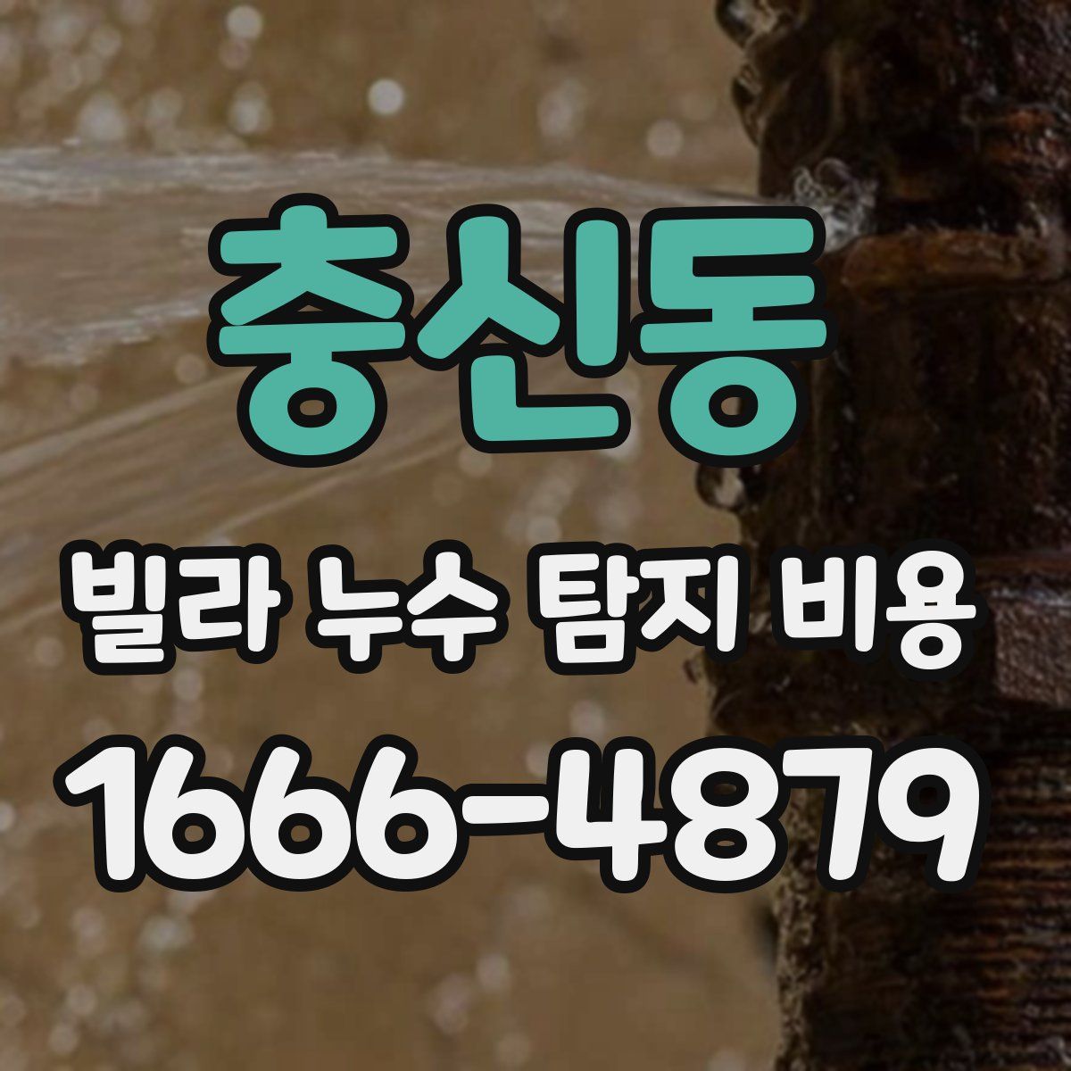 충신동 빌라 누수 탐지 비용