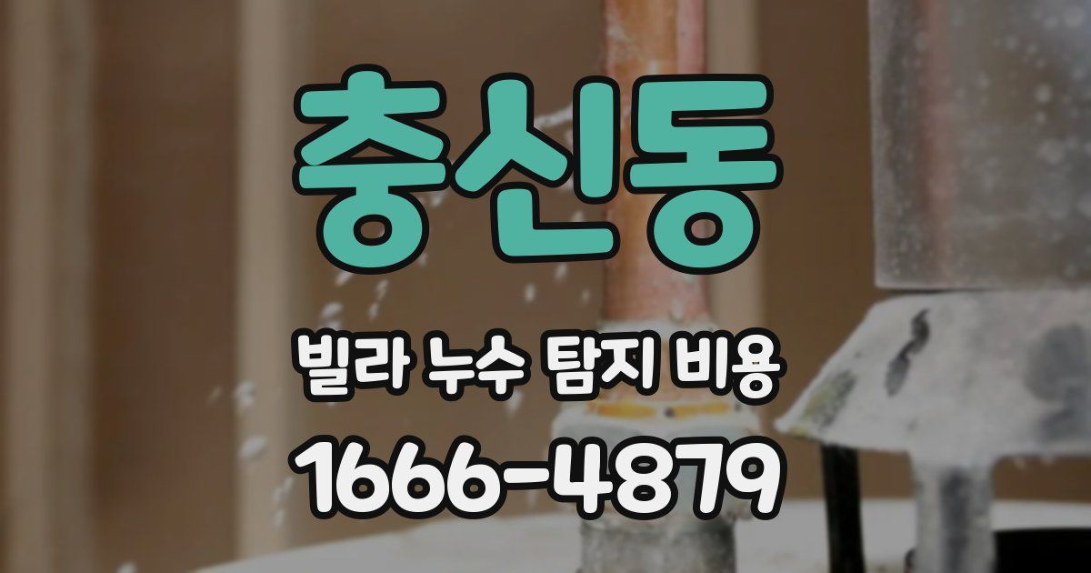충신동 빌라 누수 탐지 비용