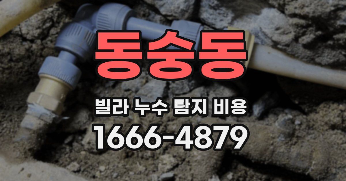 동숭동 빌라 누수 탐지 비용