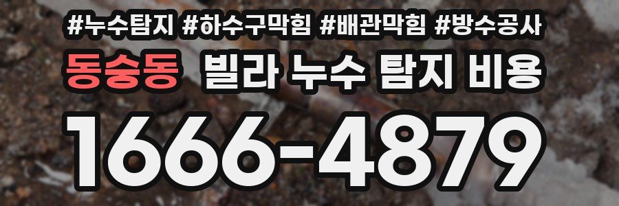 동숭동 빌라 누수 탐지 비용
