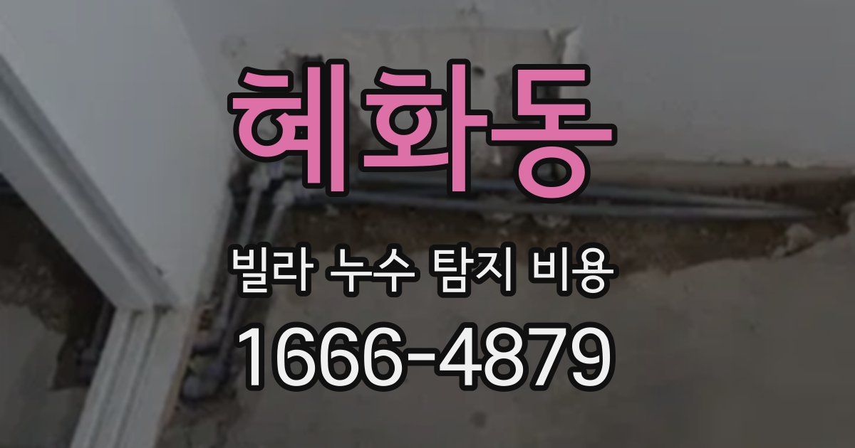 혜화동 빌라 누수 탐지 비용