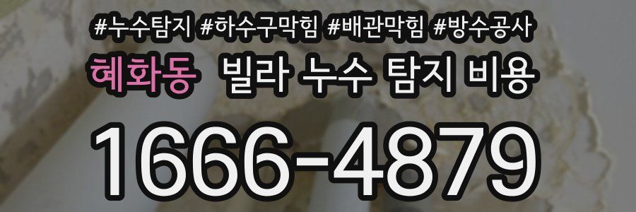혜화동 빌라 누수 탐지 비용