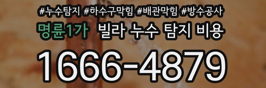 명륜1가 빌라 누수 탐지 비용