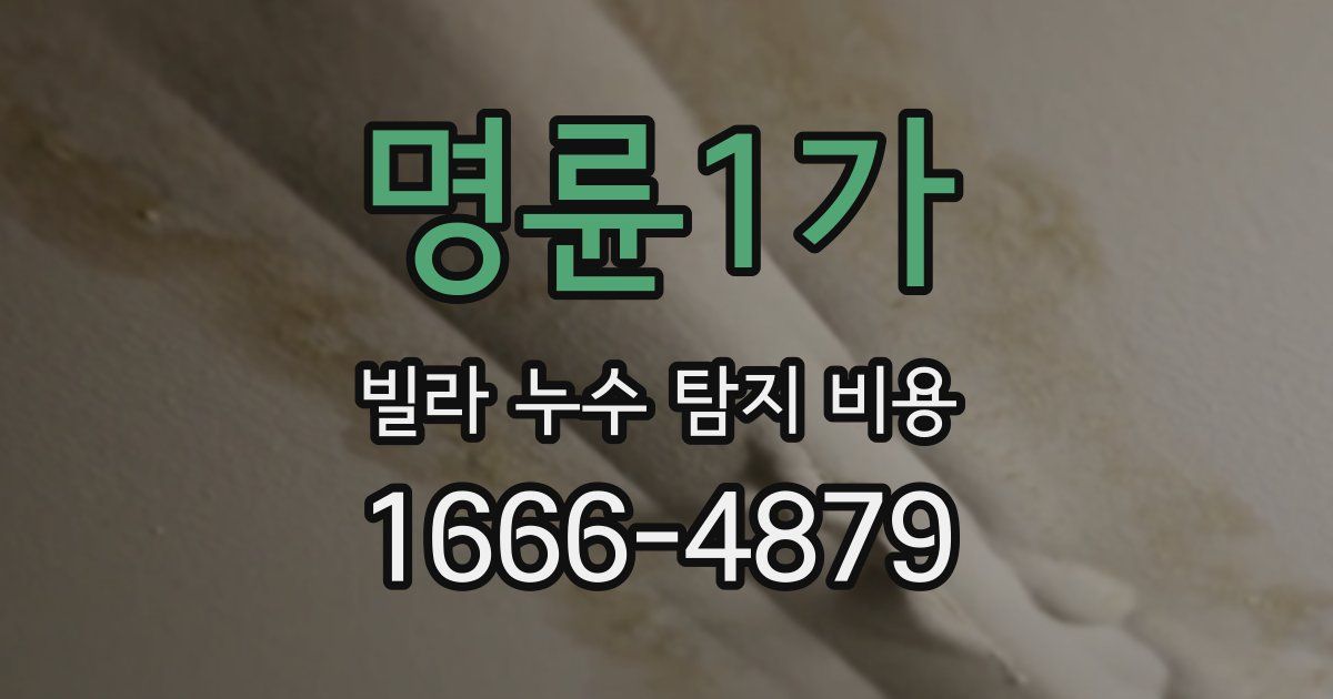 명륜1가 빌라 누수 탐지 비용