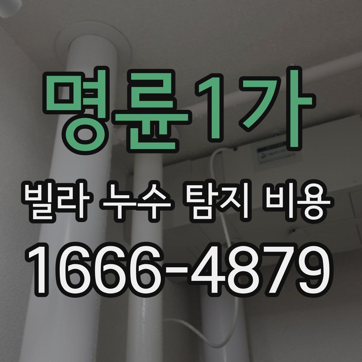 명륜1가 빌라 누수 탐지 비용