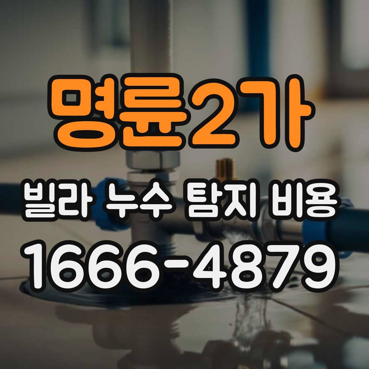 명륜2가 빌라 누수 탐지 비용